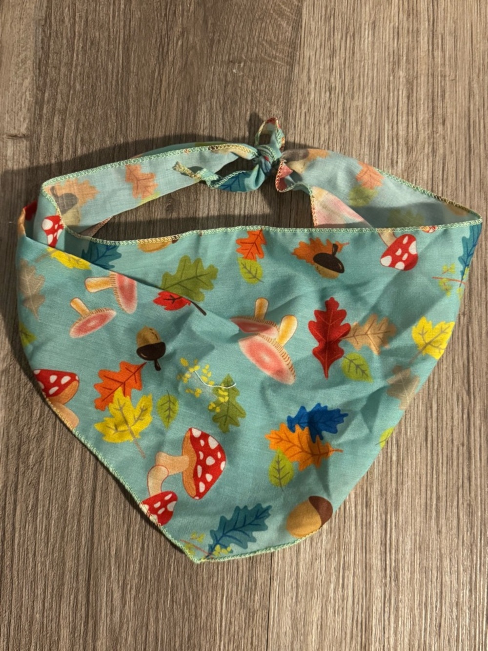 Per Tie-On Bandana  in Aqua with Autumn Leaves & Mushrooms